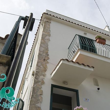 B&B Terracina Holiday Екстер'єр фото